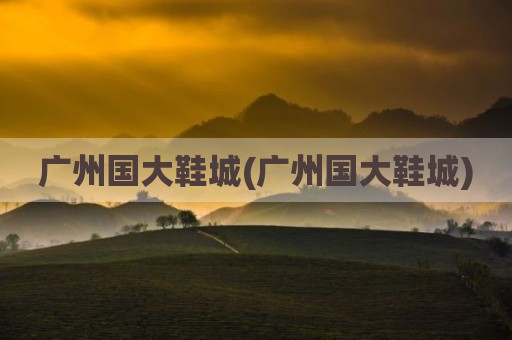 广州国大鞋城(广州国大鞋城)