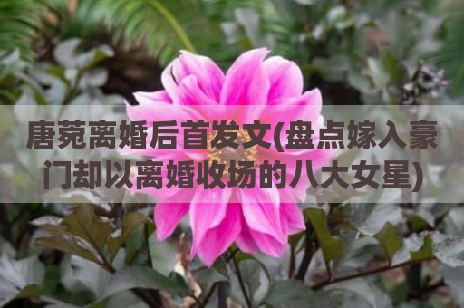 唐菀离婚后首发文(盘点嫁入豪门却以离婚收场的八大女星)