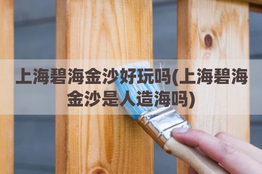 上海碧海金沙好玩吗(上海碧海金沙是人造海吗)