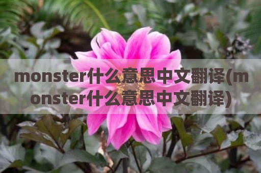 monster什么意思中文翻译(monster什么意思中文翻译)
