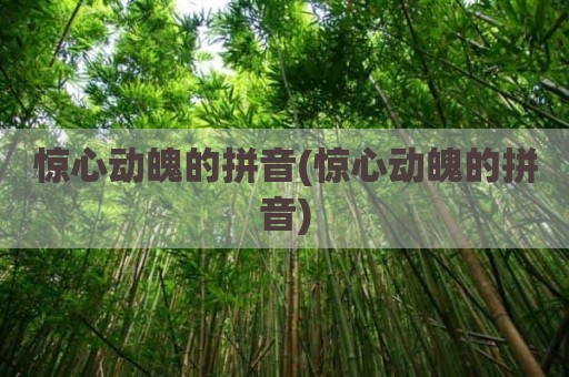 惊心动魄的拼音(惊心动魄的拼音)