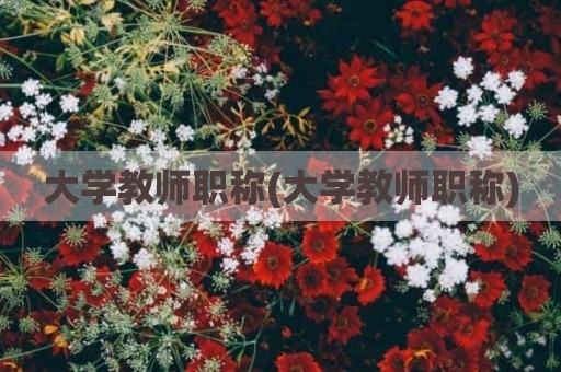 大学教师职称(大学教师职称)