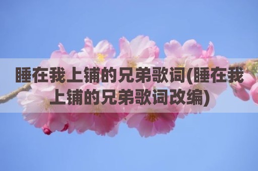 睡在我上铺的兄弟歌词(睡在我上铺的兄弟歌词改编)