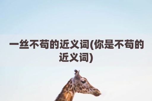 一丝不苟的近义词(你是不苟的近义词)