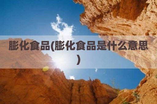 膨化食品(膨化食品是什么意思)