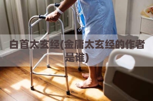 白首太玄经(金庸太玄经的作者是谁)