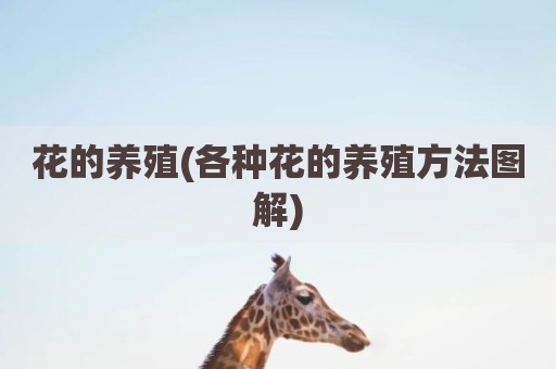 花的养殖(各种花的养殖方法图解)