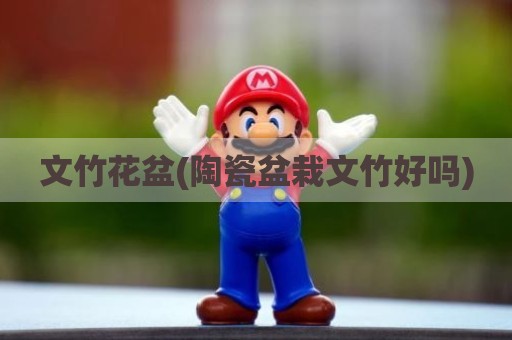 文竹花盆(陶瓷盆栽文竹好吗)