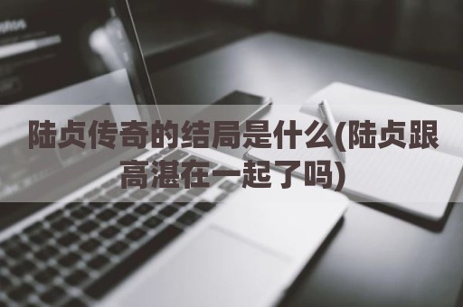 陆贞传奇的结局是什么(陆贞跟高湛在一起了吗)