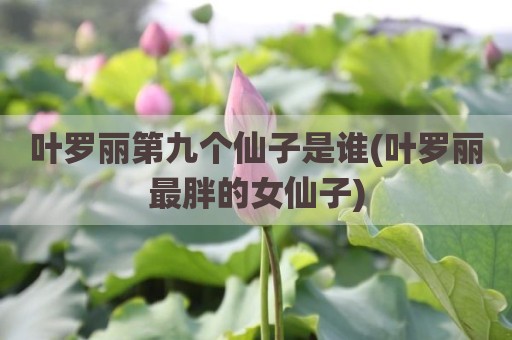 叶罗丽第九个仙子是谁(叶罗丽最胖的女仙子)