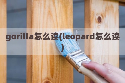 gorilla怎么读(leopard怎么读)