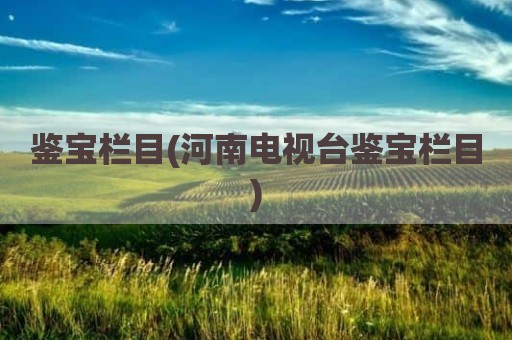 鉴宝栏目(河南电视台鉴宝栏目)