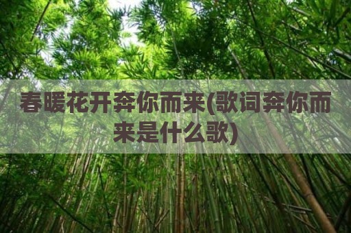春暖花开奔你而来(歌词奔你而来是什么歌)