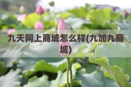 九天网上商城怎么样(九加九商城)