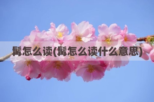髯怎么读(髯怎么读什么意思)