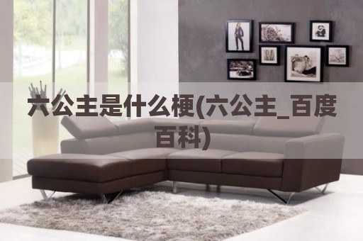 六公主是什么梗(六公主_百度百科)