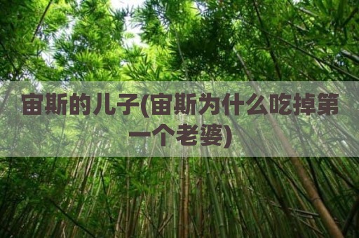 宙斯的儿子(宙斯为什么吃掉第一个老婆)
