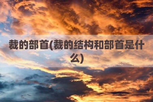 裁的部首(裁的结构和部首是什么)