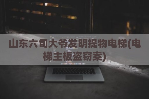 山东六旬大爷发明提物电梯(电梯主板盗窃案)