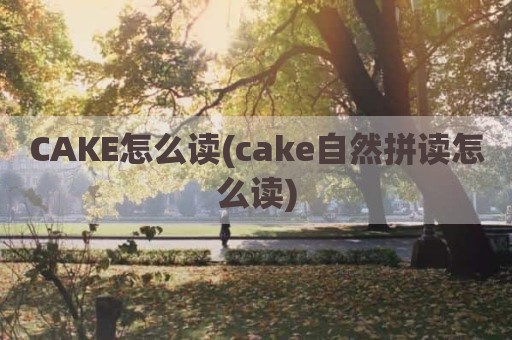 CAKE怎么读(cake自然拼读怎么读)