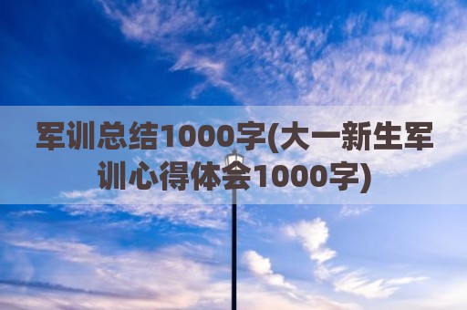 军训总结1000字(大一新生军训心得体会1000字)