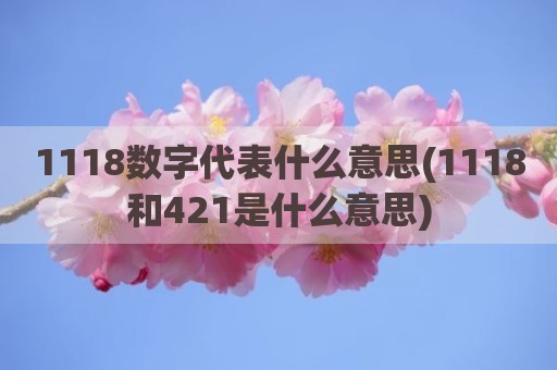 1118数字代表什么意思(1118和421是什么意思)