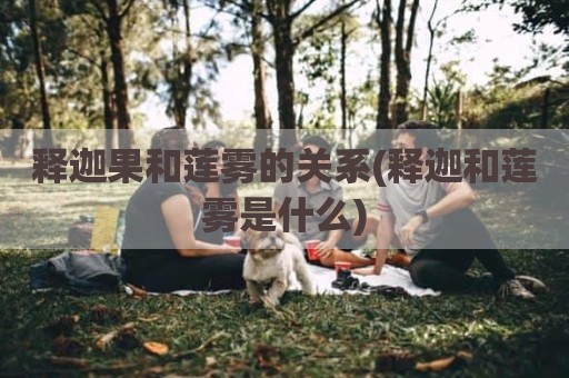 释迦果和莲雾的关系(释迦和莲雾是什么)