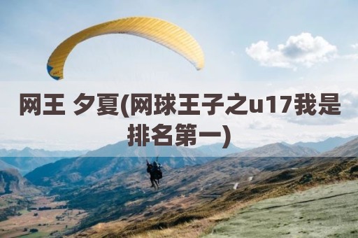 网王 夕夏(网球王子之u17我是排名第一)