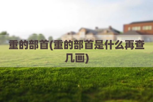 重的部首(重的部首是什么再查几画)