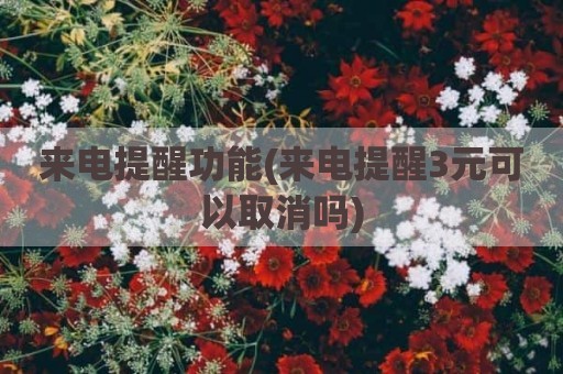 来电提醒功能(来电提醒3元可以取消吗)