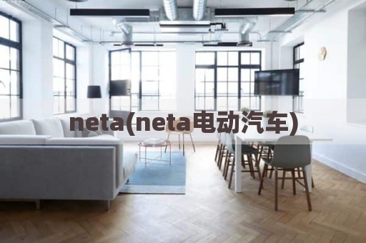 neta(neta电动汽车)