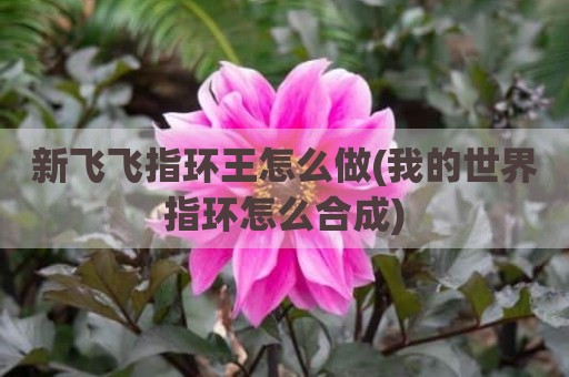 新飞飞指环王怎么做(我的世界指环怎么合成)