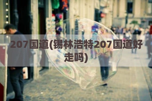 207国道(锡林浩特207国道好走吗)