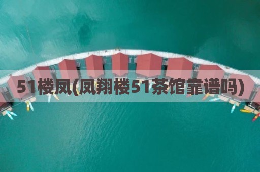 51楼凤(凤翔楼51茶馆靠谱吗)