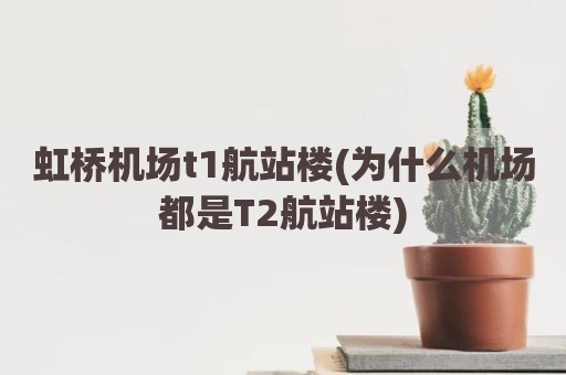 虹桥机场t1航站楼(为什么机场都是T2航站楼)