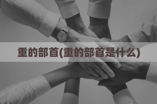 重的部首(重的部首是什么)