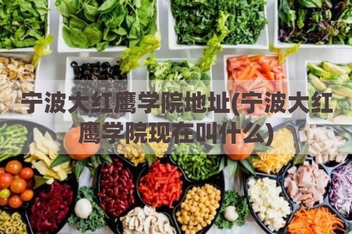 宁波大红鹰学院地址(宁波大红鹰学院现在叫什么)