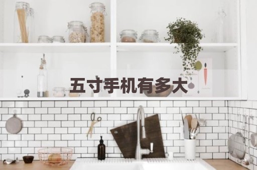五寸手机有多大