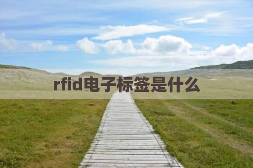 rfid电子标签是什么