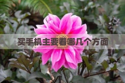 买手机主要看哪几个方面