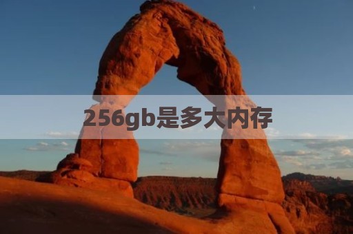 256gb是多大内存