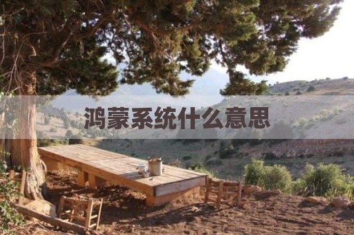 鸿蒙系统什么意思