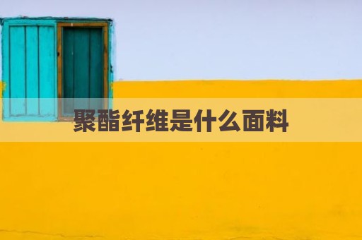 聚酯纤维是什么面料