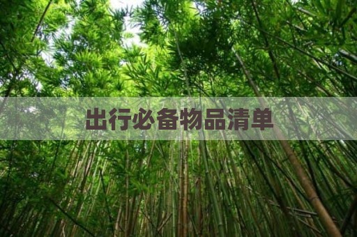 出行必备物品清单