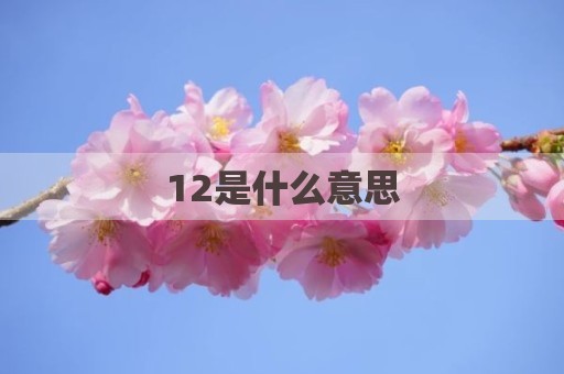 12是什么意思