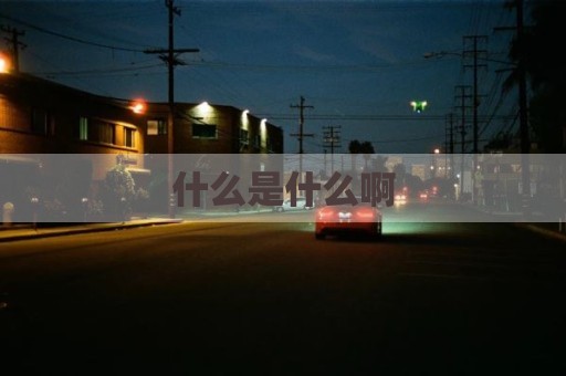 什么是什么啊