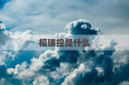 福瑞控是什么