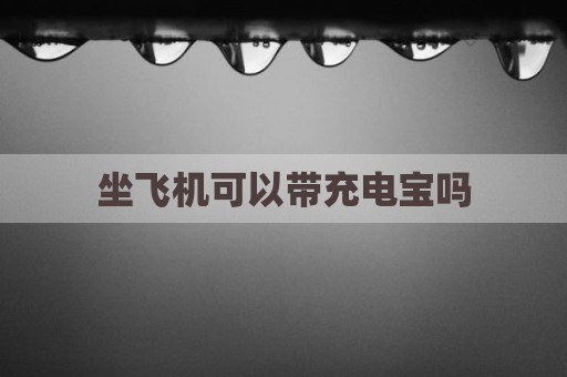 坐飞机可以带充电宝吗