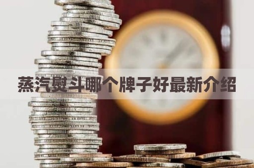 蒸汽熨斗哪个牌子好最新介绍
