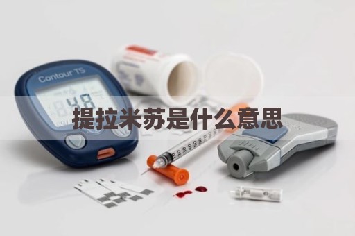 提拉米苏是什么意思
